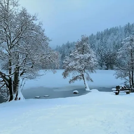Scandinave *