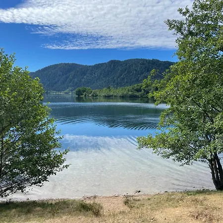 Alpehytte Scandinave